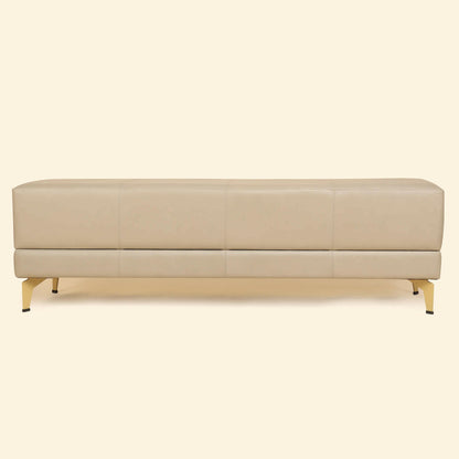 Leather Bench Taupe Colour