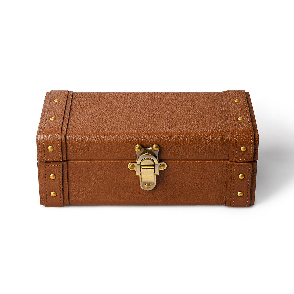 Savvy Shoe Care Kit Tan