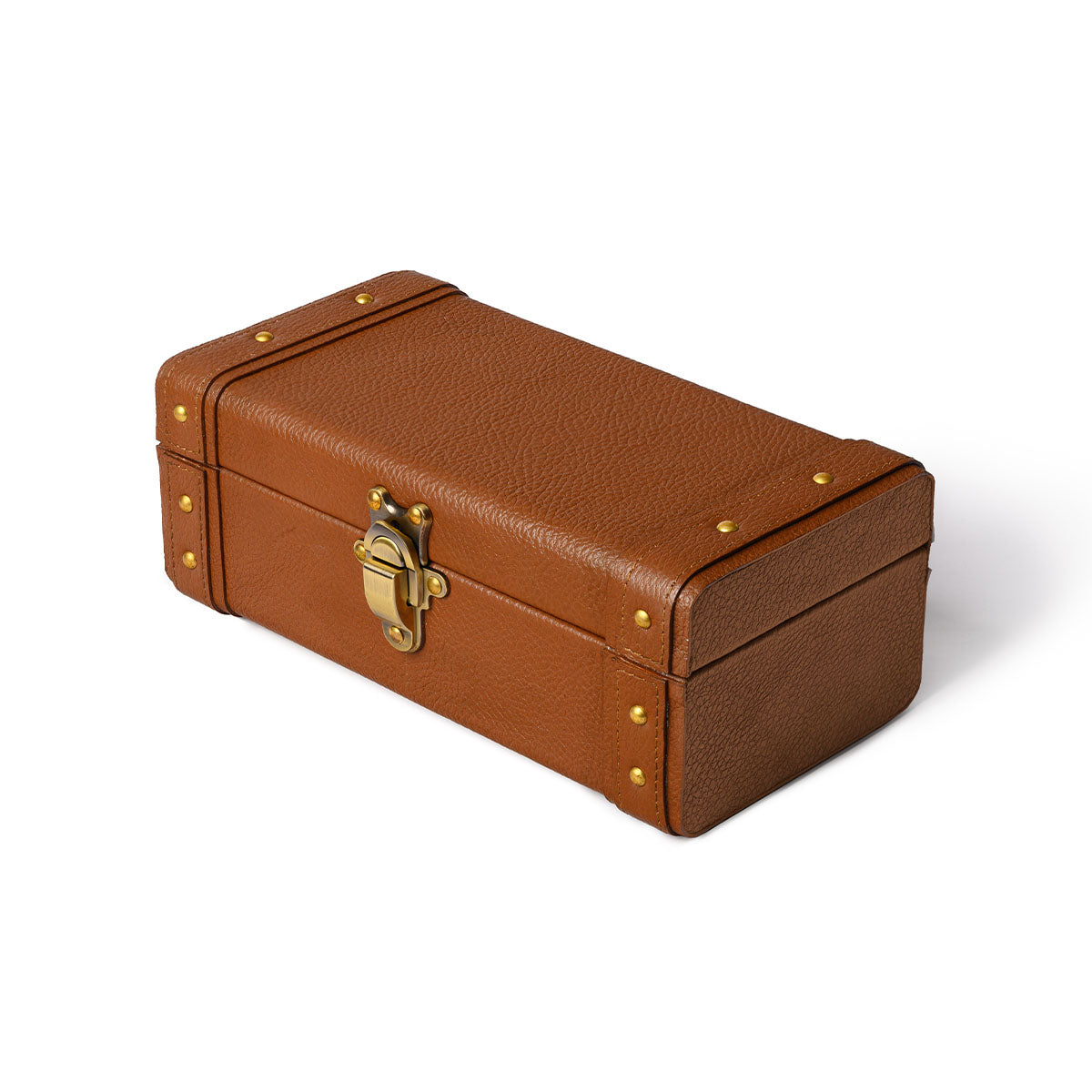 Savvy Shoe Care Kit Tan